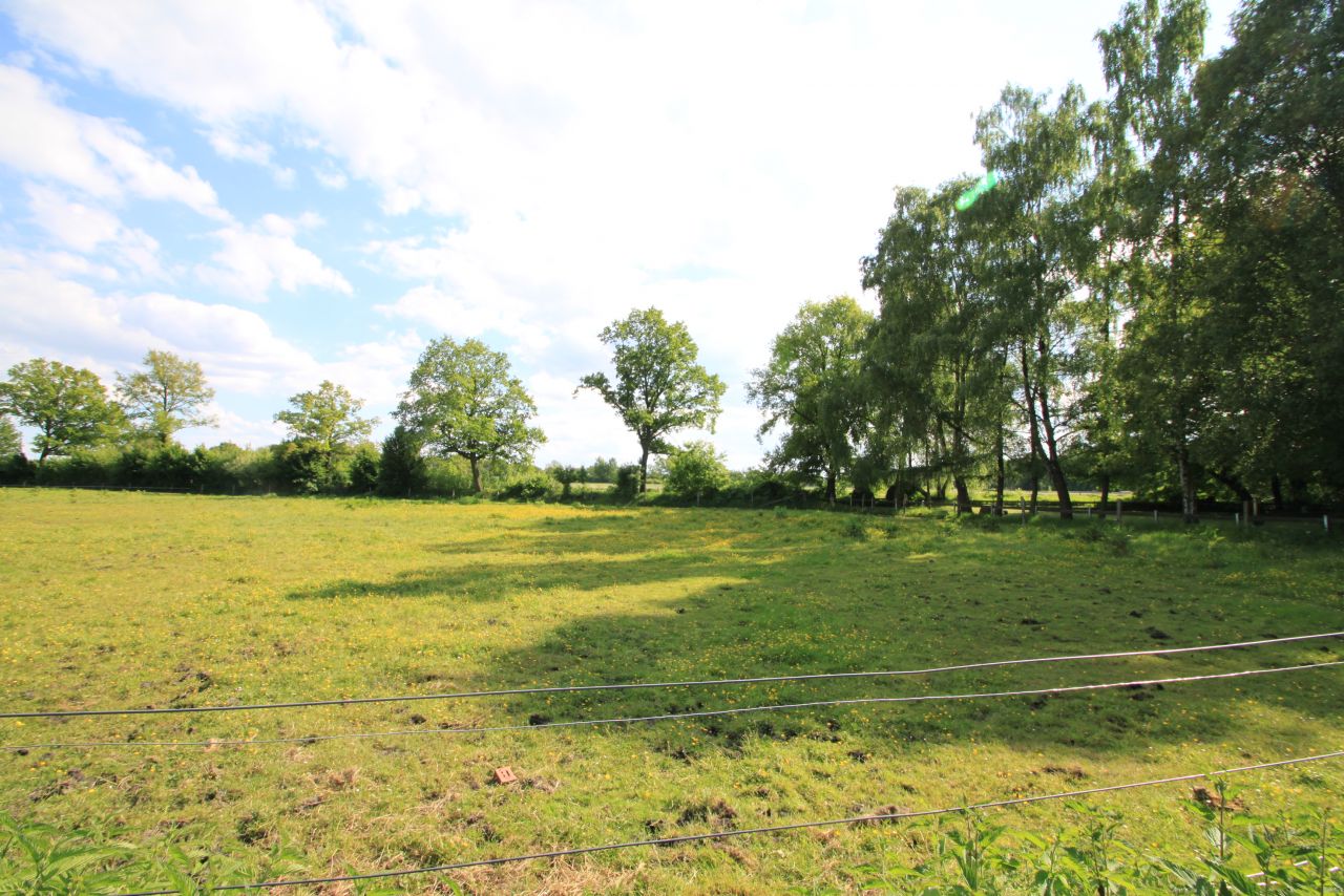 Ein Paradies am Wasser: Ihr Traumgrundstück wartet auf Sie! Ein Paradies am Wasser: Ihr Traumgrundstück wartet auf Sie!